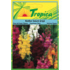 Snapdragon Antirrhinum Seeds By Tropica - Vibrant Spikes of Colour